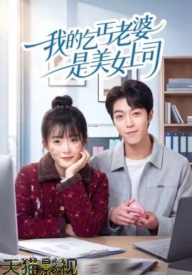 我的乞丐老婆是美女上司